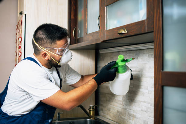 Best Pest Removal Services  in Inverness Highlands South, FL