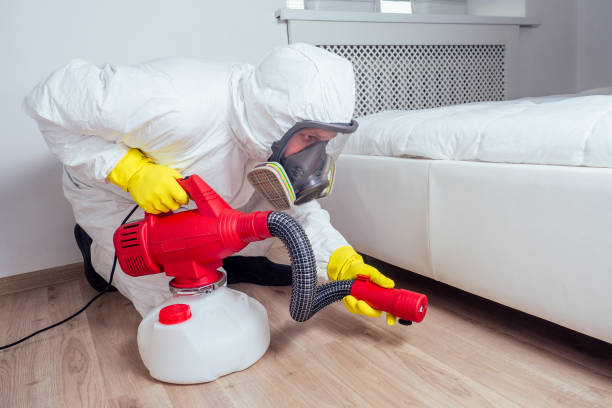 Flea Control Services in Inverness Highlands South, FL