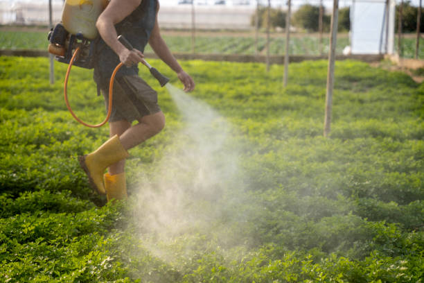Pest Control Cost in Inverness Highlands South, FL