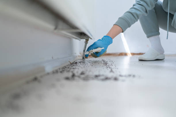 Best Best Pest Control Companies  in Inverness Highlands South, FL